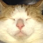 Profile Picture of Cody Herbert (@Cody-Herbert) on Facebook