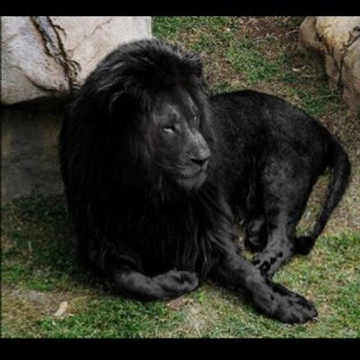 Profile Picture of Edwin Todd Johnson (@BlkTODD) on Twitter