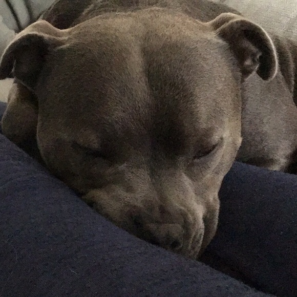 Profile Picture of Lisa Hepworth (@lisa_hep) on Poshmark