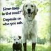 Profile Picture of Michael Barylski (@barylski0088) on Pinterest