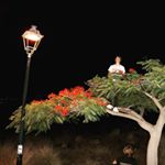 Profile Picture of Philipp (@philippnebert) on Instagram