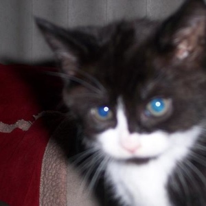 Profile Picture of Andrew Goosey (@amichealg) on Myspace