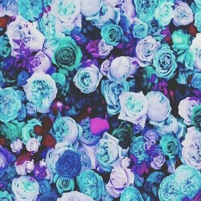 Profile Picture of Sarah Nadeau (@SarahNadeau8) on Twitter