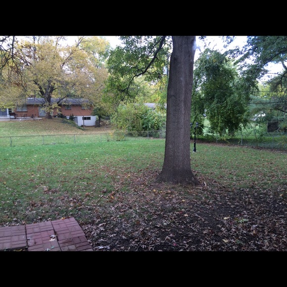 Profile Picture of Everlean Taylor (@everleant) on Poshmark