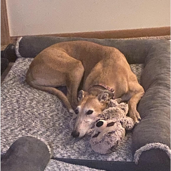 Profile Picture of Adam Hoch (@adamhoch82) on Poshmark