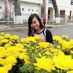 Profile Picture of Phan thi Thuy ngan Ngan (@thuynganhutech) on Flickr