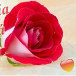 Profile Picture of Pilar Mesa (@pimesasapilar) on Instagram