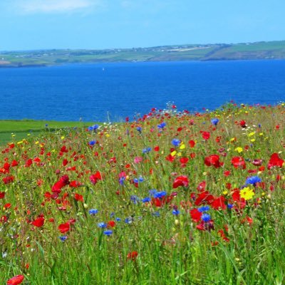 Dee Carter - Twitter Profile Picture of Dee Carter (@d03182) on Twitter