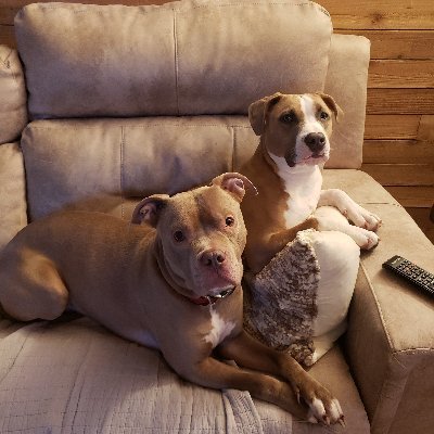 Profile Picture of Ashley Wilcher (@AshleyWilcher4) on Twitter