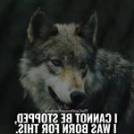 Profile Picture of John Charles Lucas (@johncharleslucas) on Instagram