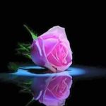 Profile Picture of Maju Thomas Mathew Koramkottu (@majuthomasmathew) on Instagram