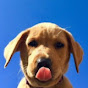Profile Picture of HannahOneTwoNine (@@Iamhannah129) on Tiktok