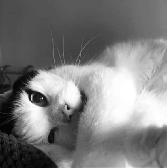 Profile Picture of Marzena Jaskółka (@maszka2022) on Poshmark