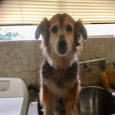 Profile Picture of Matthew (@matthew.ingrassia) on Tiktok