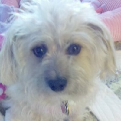 Profile Picture of Joyce R. Bray (@auntfishy) on Twitter