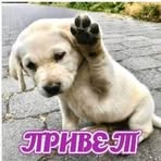Profile Picture of Миша Примак (@Миша-Примак) on Facebook