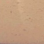 Profile Picture of Brandon Jacobs (@BraHomies) on Twitter