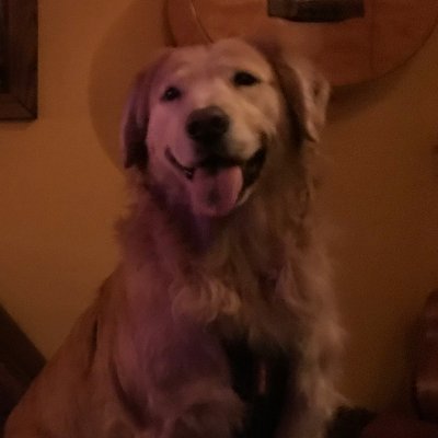 Profile Picture of Sean McAleavy (@SeanMcaleavy) on Twitter