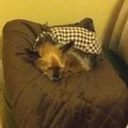 Profile Picture of Kim Faucette (@akfaucette) on Pinterest