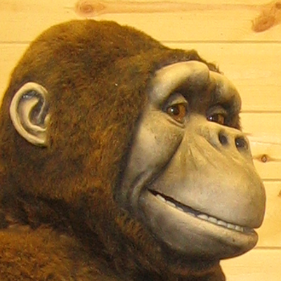 Daniel W Millette - Twitter Profile Picture of Daniel W Millette (@@danielmillette) on Twitter