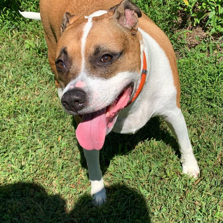 Profile Picture of Christopher Mandarin (@@christophermandarino19) on Tiktok