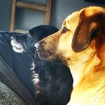 Profile Picture of Linda Ciulla Gomez (@lindagomez01) on Instagram