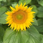 Profile Picture of Bobbie Gilson-Mitchell (@mrs._bam8313) on Instagram