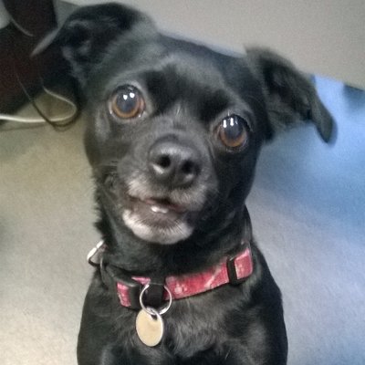 Profile Picture of Peter Nathanson (@nathanson57) on Twitter