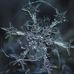 Profile Picture of Reggie Arsenault (@reggie.arsenault.106) on Facebook