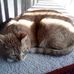 Profile Picture of Cheryl Driggars (@cheryl.driggars.7) on Facebook