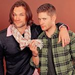 Profile Picture of arabia (@sam_dean_girl) on Instagram