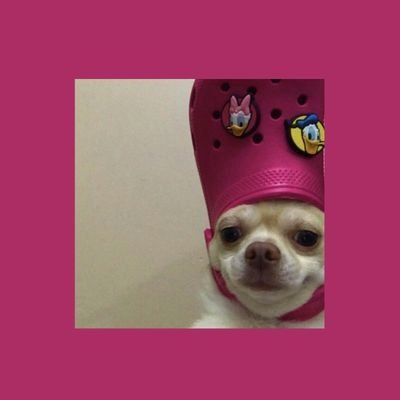 Profile Picture of Chloe || Read  📌 🙏 (@chloemissing) on Twitter