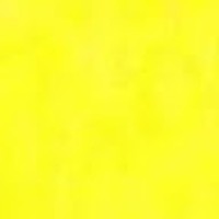 Profile Picture of Eli Andrade (@eli-andrade-12) on Quora