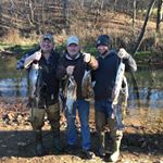 Profile Picture of Jesse Mabe (@jesse.mabe.58) on Instagram