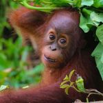 Profile Picture of Joleen Funk (@funkyjo76) on Instagram