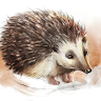 Profile Picture of Thomas Purnell (@thomas-purnell-11) on Quora