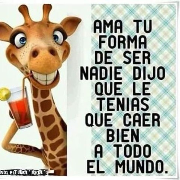 Profile Picture of Carmen Brauer (@brauer64) on Poshmark