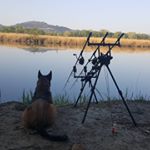 Profile Picture of philippe santoni (@philou2s) on Instagram