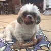 Profile Picture of Brad Knoblauch (@brad.knoblauch) on Facebook