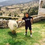 Profile Picture of Matthew Benavides (@bennayyyyyyyy) on Instagram