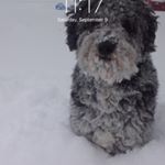 Jose Rogers-Hagel - Instagram Profile Picture of Jose Rogers-Hagel (@rogershagel) on Instagram