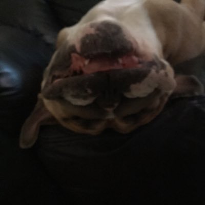 Profile Picture of Matt Oram (@OramMatthew) on Twitter