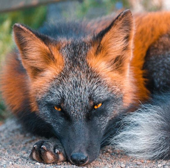 Profile Picture of Kevin Burden (@kevjb70) on Poshmark