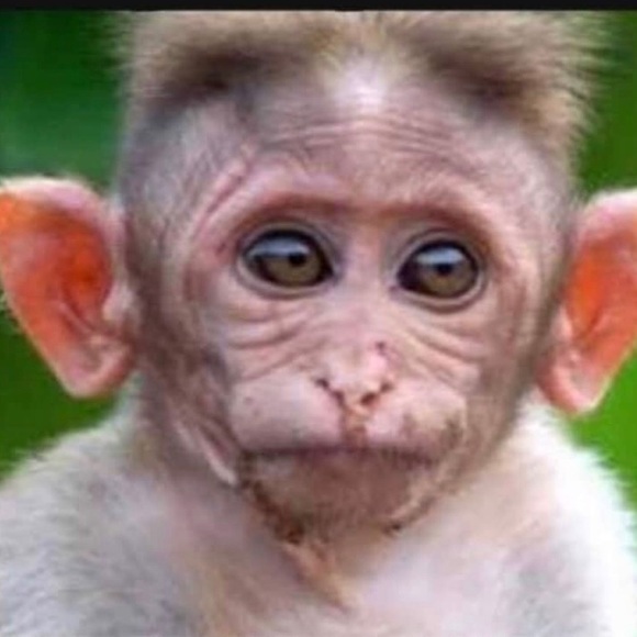 Profile Picture of Alison Marks (@luvdocntraining) on Poshmark