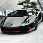 Profile Picture of joeyferrante (@joeyferrante13) on Instagram