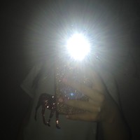 Profile Picture of Cherrish  (@cherrish) on Quora