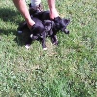 Robin Radcliff - Quora Profile Picture of Robin Radcliff (@robin-radcliff) on Quora