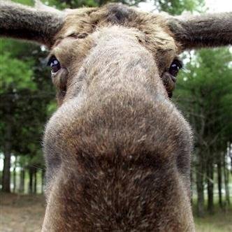 Profile Picture of Whitney Hudson (@WhitHud89) on Twitter