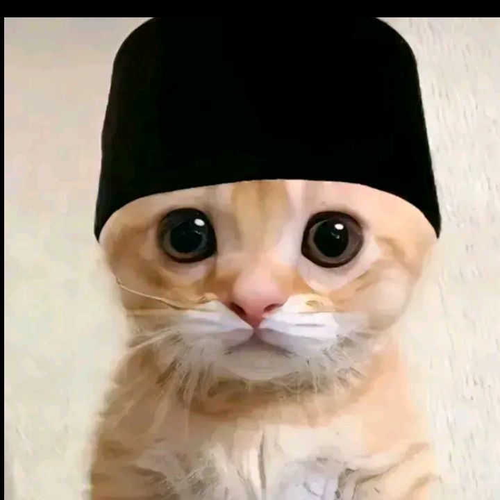 Profile Picture of vinson (@rexrowell) on Tiktok