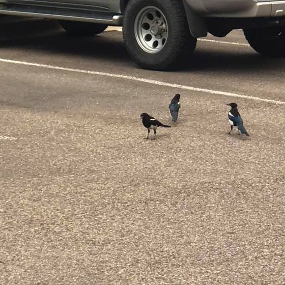 Profile Picture of Matthew Dunham (@matthewdunham) on Poshmark